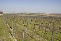 Cjp_2010_04_20_112937 (1).jpg