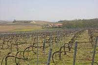 Cjp_2010_04_20_112953 (2).jpg