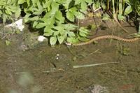 Cjp_2010_05_28_153330.jpg