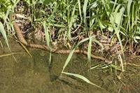 Cjp_2010_05_28_154156.jpg