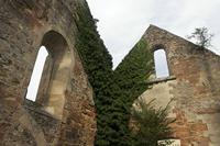 Cjp_2010_09_14_135153.jpg