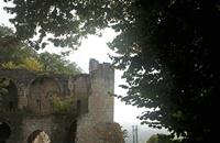 Cjp_2010_09_14_143619.jpg