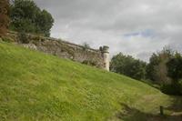 Cjp_2010_09_15_102031.jpg
