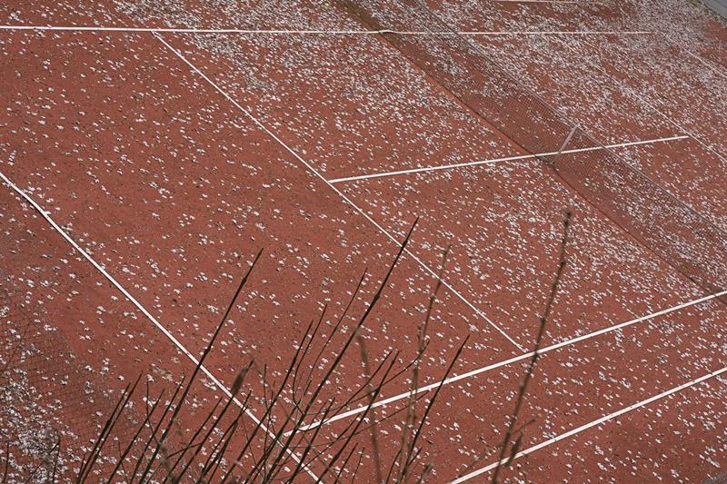 Cjp_2011_03_16_143832.jpg