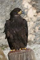 Cjp_2011_03_16_103916.jpg