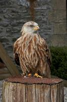 Cjp_2011_03_16_135156.jpg
