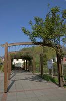 Cjp_2011_04_08_093757.jpg