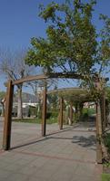 Cjp_2011_04_08_093811.jpg