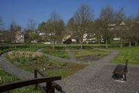 Cjp_2011_04_08_094436.jpg