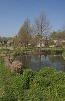 Cjp_2011_04_08_094516.jpg