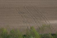 Cjp_2011_04_08_154838.jpg