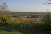 Cjp_2011_04_08_161023.jpg