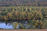 Cjp_2011_04_08_172833.jpg