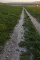 Cjp_2011_04_08_180448.jpg
