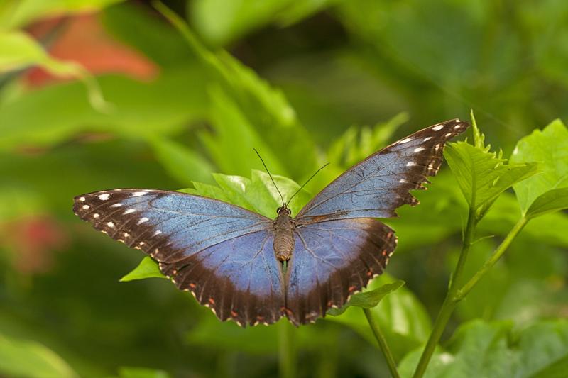 Cjp_2011_04_27_094716.jpg