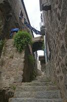 Cjp_2011_06_10_150052.jpg