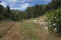 Cjp_2011_06_12_093308.jpg