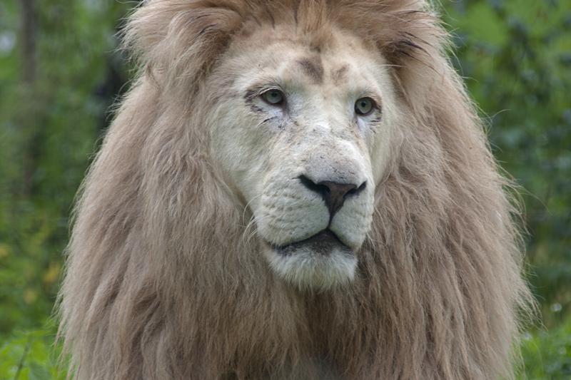 Cjp_2011_08_03_084107.jpg