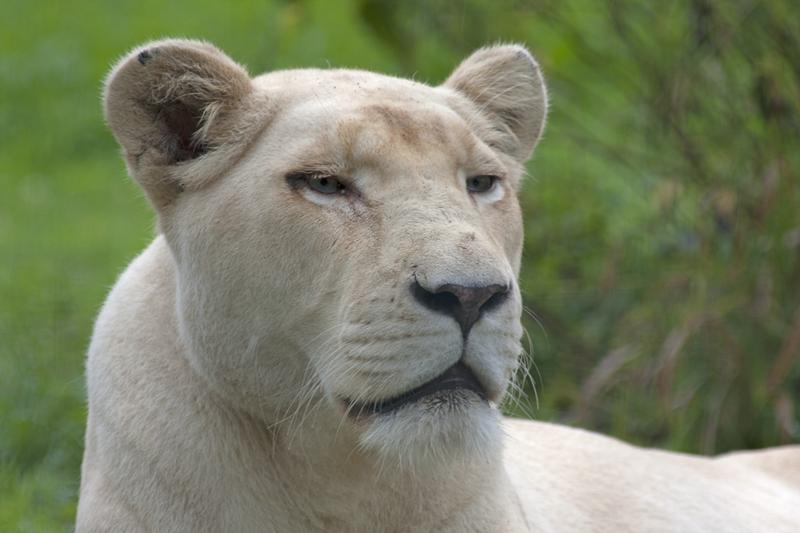 Cjp_2011_08_03_084632.jpg