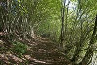 Cjp_2011_10_21_093338.jpg