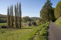 Cjp_2011_10_21_094938.jpg