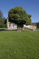 Cjp_2011_10_21_122952.jpg