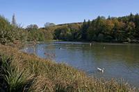 Cjp_2011_10_21_131702.jpg