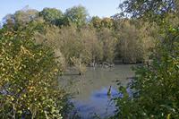 Cjp_2011_10_21_132614.jpg