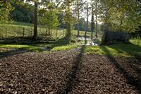 Cjp_2011_10_21_145950.jpg