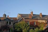 Cjp_2011_10_21_155652.jpg