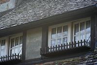 Cjp_2011_10_22_082950.jpg