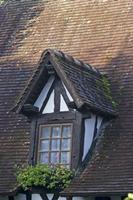 Cjp_2011_10_22_085116.jpg