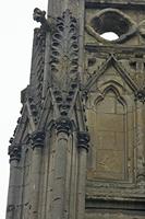 Cjp_2011_11_17_090114.jpg