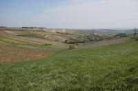 Cjp_2012_04_17_093050.jpg