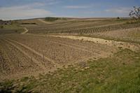 Cjp_2012_04_17_094350.jpg