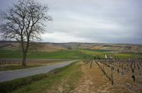 Cjp_2012_04_17_133024.jpg