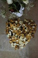 Cjp_2012_04_19_081427.jpg