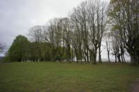 Cjp_2012_04_19_123456.jpg