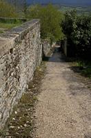 Cjp_2012_04_19_131152.jpg