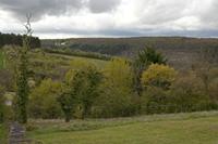 Cjp_2012_04_19_133714.jpg