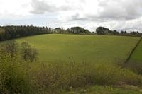 Cjp_2012_04_19_134108.jpg