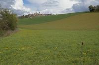 Cjp_2012_04_19_142716.jpg