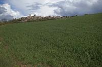 Cjp_2012_04_19_142956.jpg