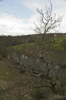 Cjp_2012_04_19_145848.jpg