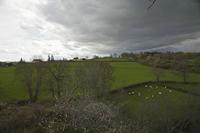 Cjp_2012_04_19_150020.jpg