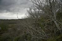Cjp_2012_04_19_150040.jpg