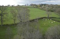 Cjp_2012_04_19_150104.jpg