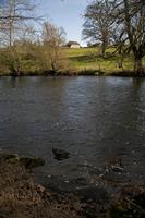 Cjp_2012_04_19_162330.jpg