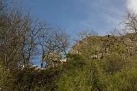 Cjp_2012_04_19_162416.jpg
