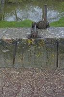 Cjp_2012_04_20_071706.jpg